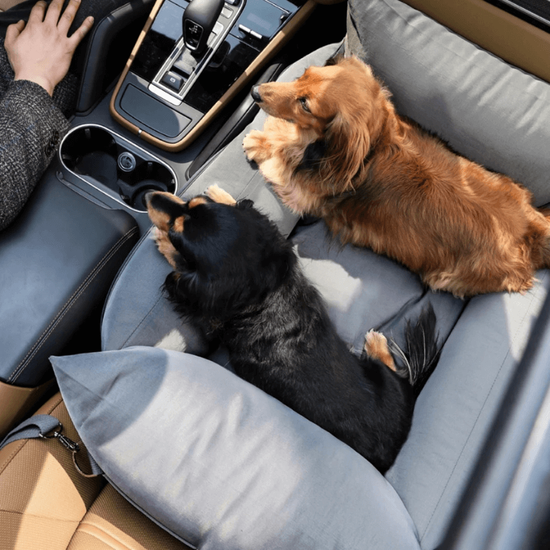 PawComfort™ Ultimate Bundle