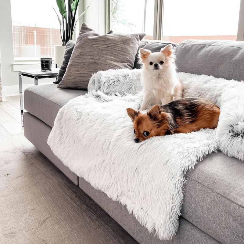 PawComfort™ Premium Dog Bed Sofa Cover