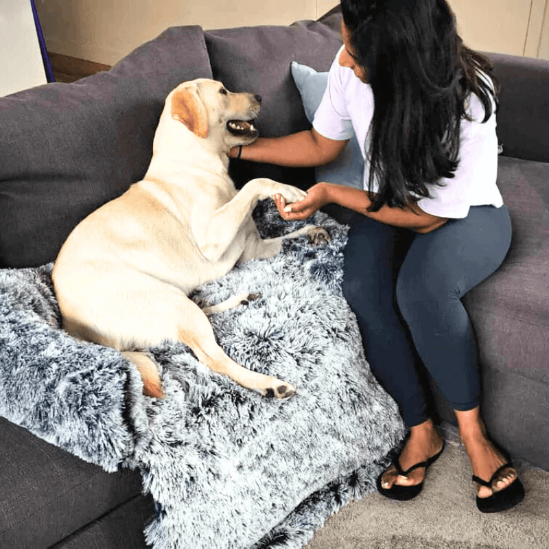 PawComfort™ Ultimate Bundle
